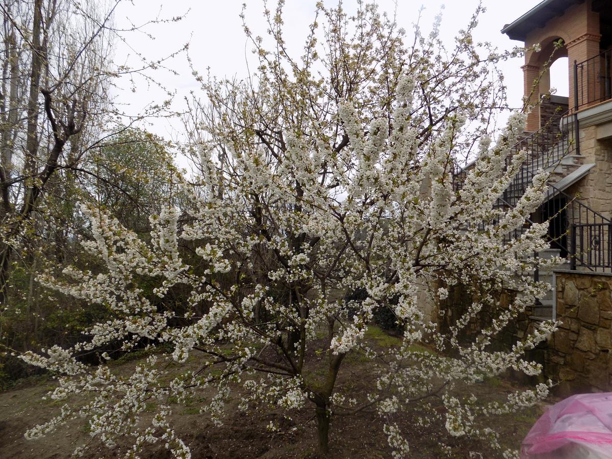 Casa Rural Generoso Madronal Εξωτερικό φωτογραφία