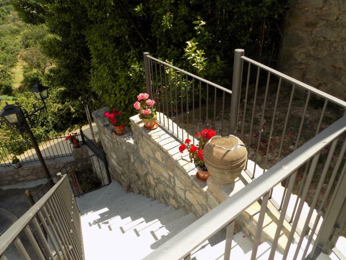 Casa Rural Generoso Madronal Εξωτερικό φωτογραφία